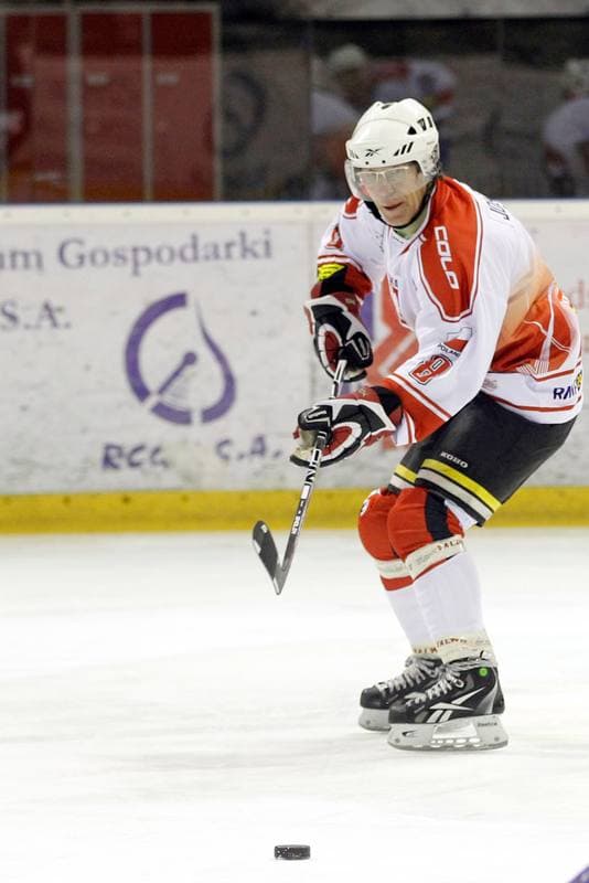 Ice Hockey. Hokej na Lodzie z Gwiazdami. Poland - Czech Republic. 16.01.2016