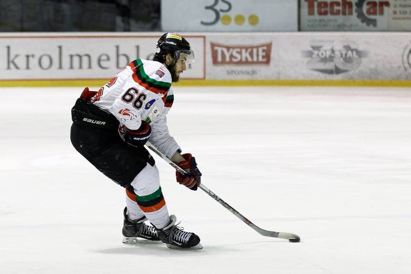 Ice Hockey. PHL. GKS Tychy - Unia Oswiecim. 22.01.2016