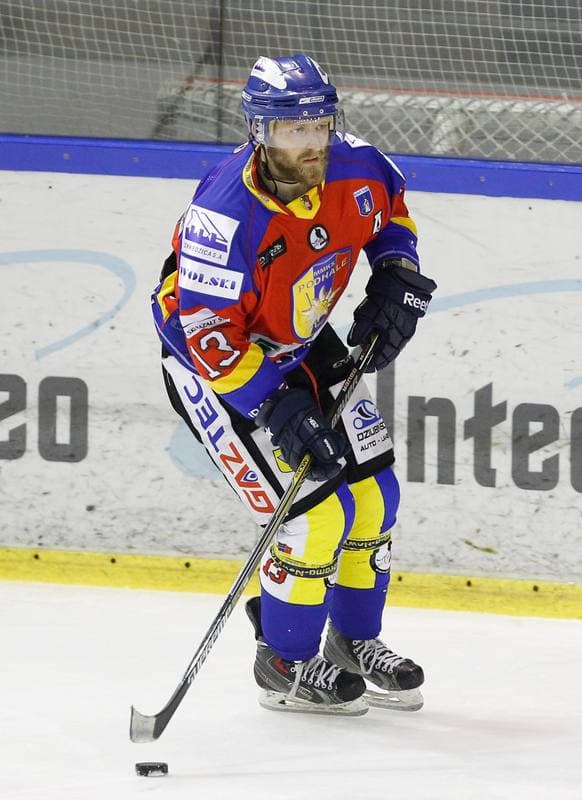 Ice Hockey. Polska Hokej Liga. Naprzod Janow - Podhale Nowy Targ. 14.11.2014