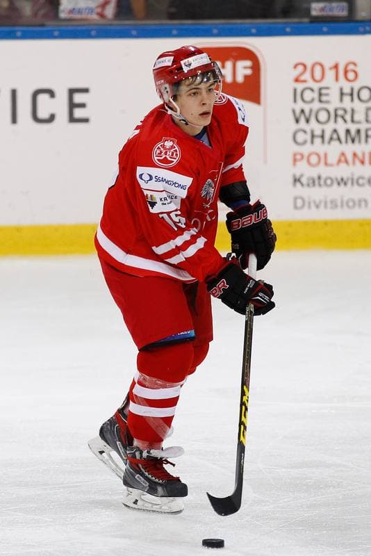 Ice Hockey. EIHC. Poland - France. 19.12.2015