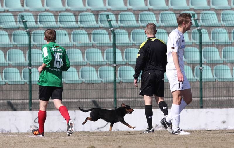 Football. I liga. GKS Tychy - Zawisza Bydgoszcz. 17.03.2013