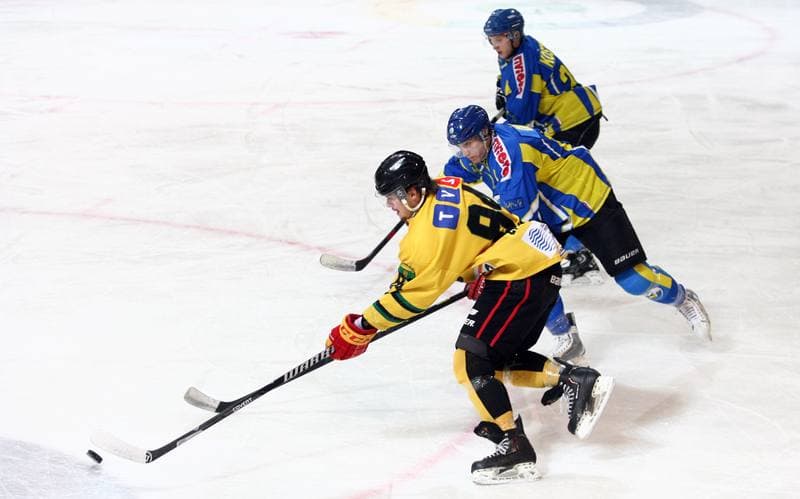 Ice Hockey. Polska Hokej Liga. HC GKS Katowice - Orlik Opole. 27.01.2015