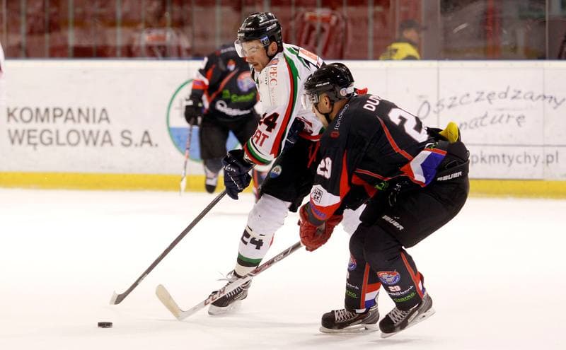 Ice Hockey. Polska Hokej Liga. GKS Tychy - Ciarko KH Sanok. 23.01.2015