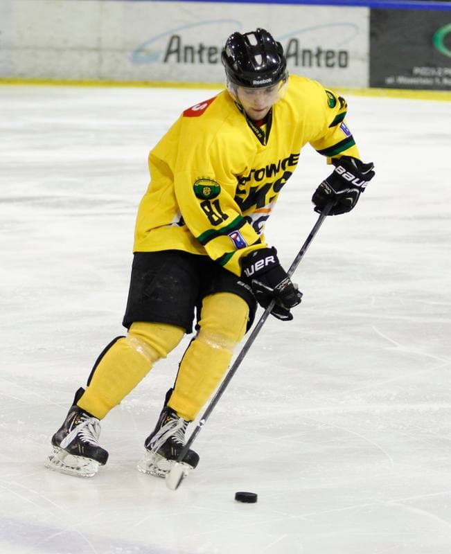 Ice Hockey. Tauron Hokej Liga. HC GKS Katowice - Polonia Bytom. 02.01.2015