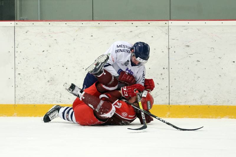 Ice Hockey. WSM Liga. HC Frydek-Mistek - HC Benatky nad Jizerou. 20.02.2017