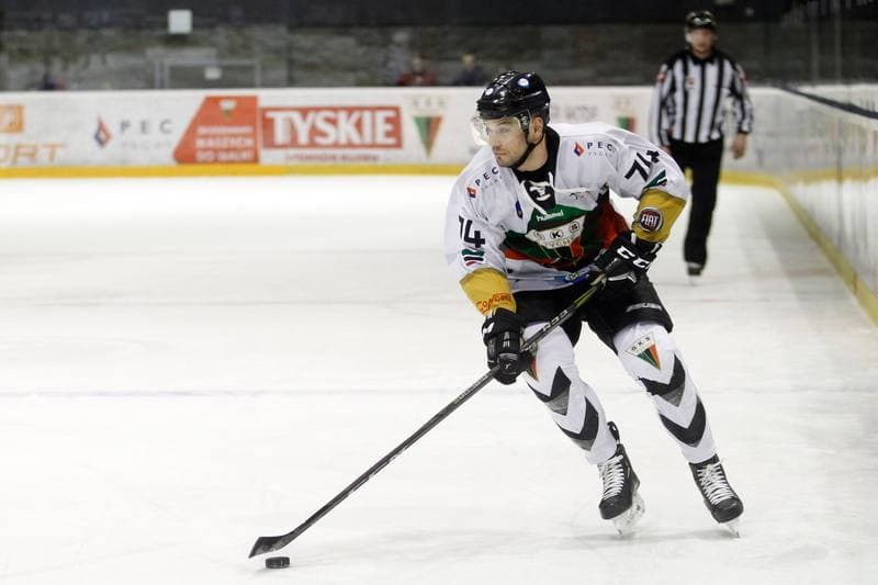 Ice Hockey. Polska Hokej Liga. GKS Tychy - Automatyka Gdansk. 22.02.2019