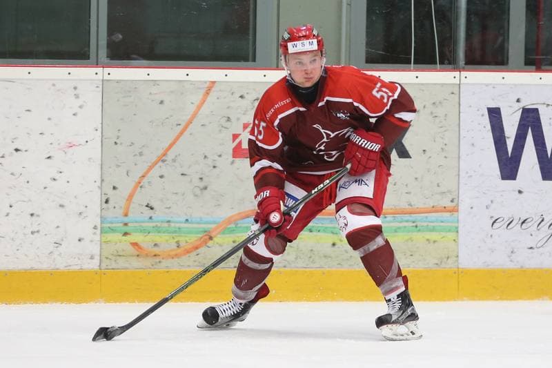 Ice Hockey. WSM Liga. HC Frydek-Mistek - HC Benatky nad Jizerou. 20.02.2017