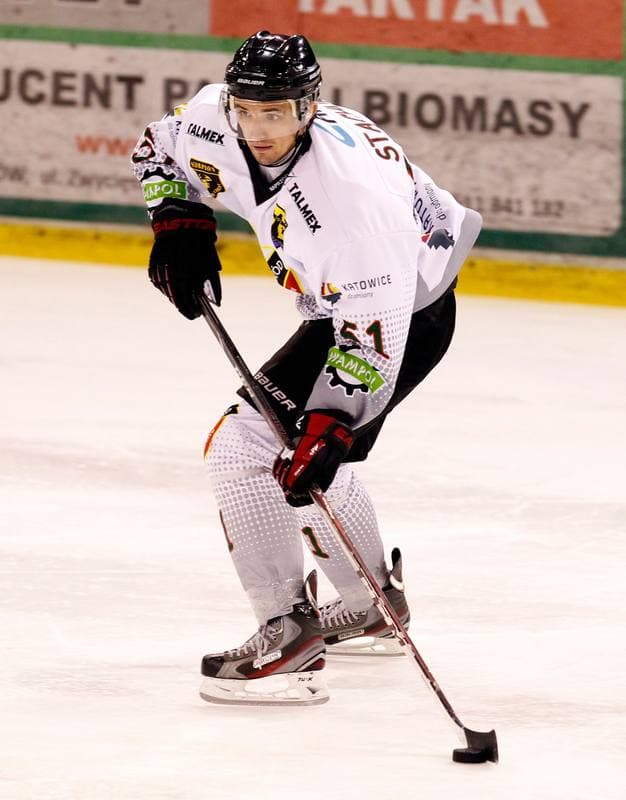 Ice Hockey. Polska Hokej Liga. Naprzod Janow - Polonia Bytom. 02.11.2014