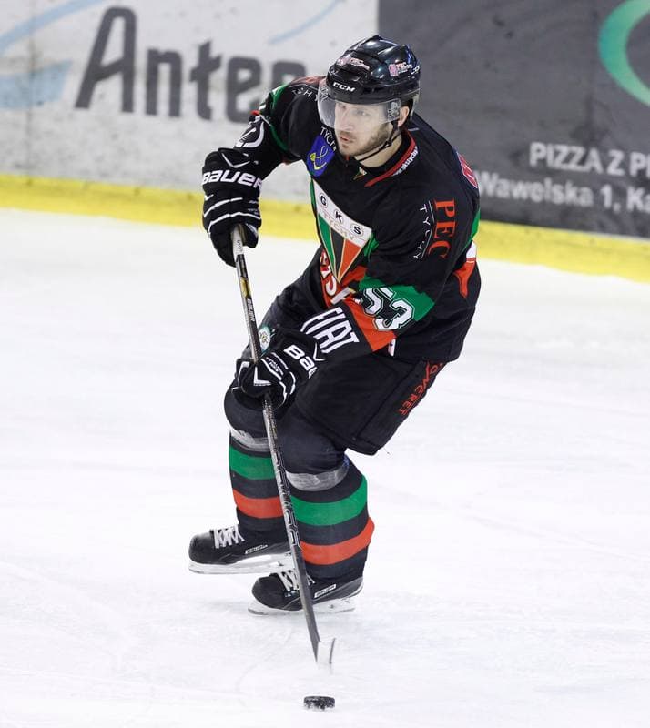 Ice Hockey. Polska Hokej Liga. Naprzod Janow - GKS Tychy. 19.10.2014