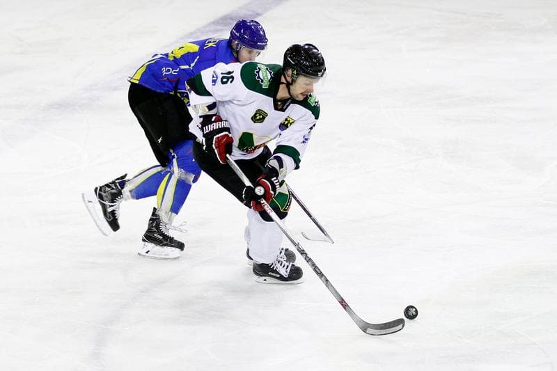 Ice Hockey. Polska Hokej Liga. Anteo Naprzod Janow - PGE Orlik Opole. 20.02.2018
