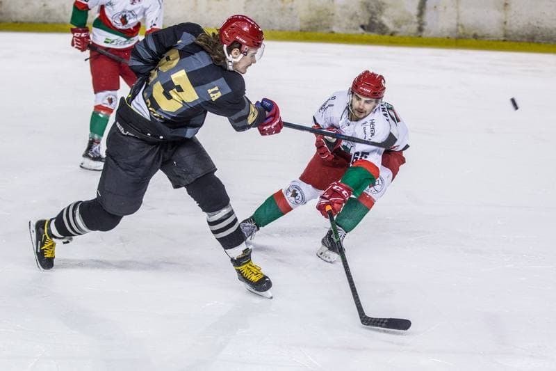 Ice Hockey. PHL. Zaglebie Sosnowiec - Comarch Cracovia. 04.12.2020