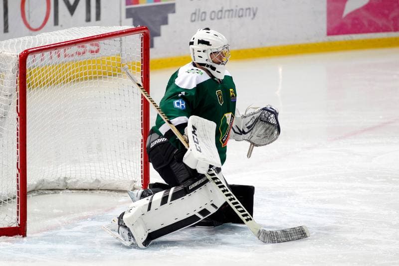 Ice Hockey. Tauron Hokej Liga. Tauron KH GKS Katowice - Anteo Naprzod Janow. 03.11.2017