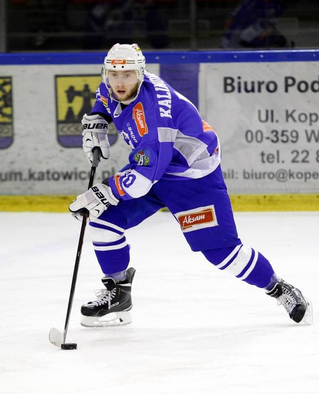 Ice Hockey. Polska Hokej Liga. Naprzod Janow - Unia Oswiecim. 26.10.2014