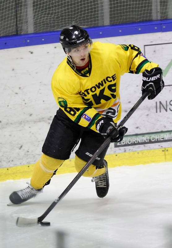 Ice Hockey. Tauron Hokej Liga. HC GKS Katowice - Polonia Bytom. 02.01.2015
