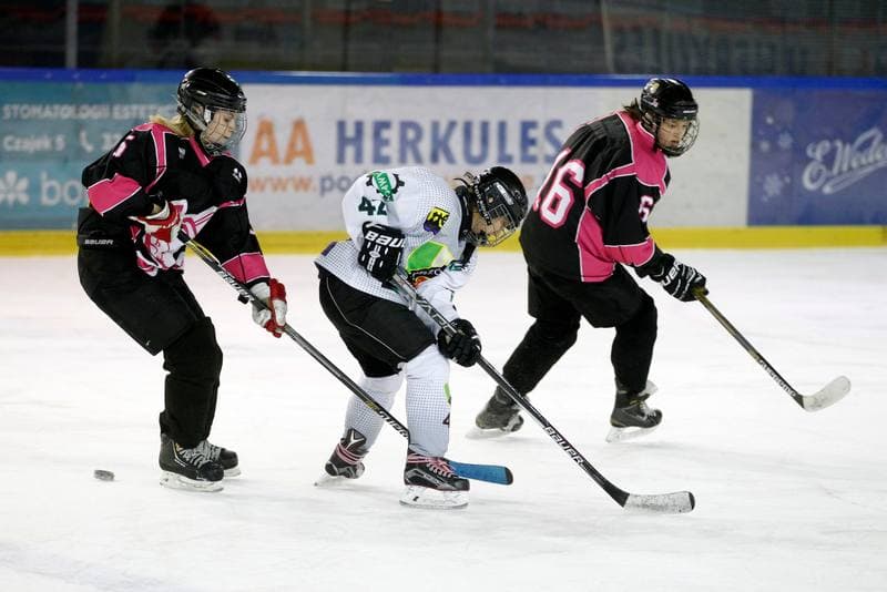 Ice Hockey. PLHK. Naprzod Janow - Kozice Poznan. 11.02.2018