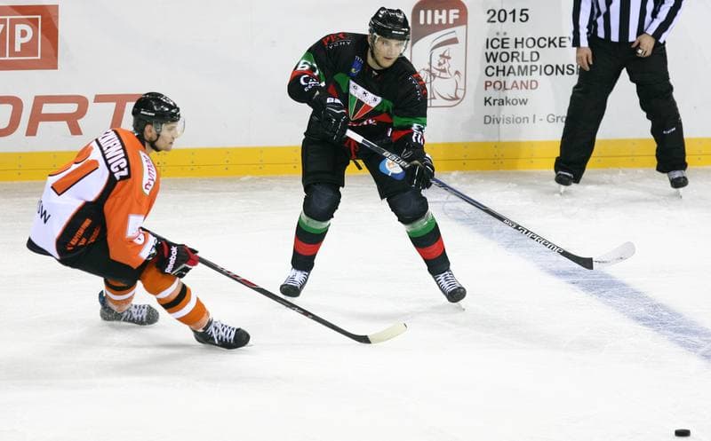 Ice Hockey. Polish Cup. JKH GKS Jastrzebie - GKS Tychy. 27.12.2014