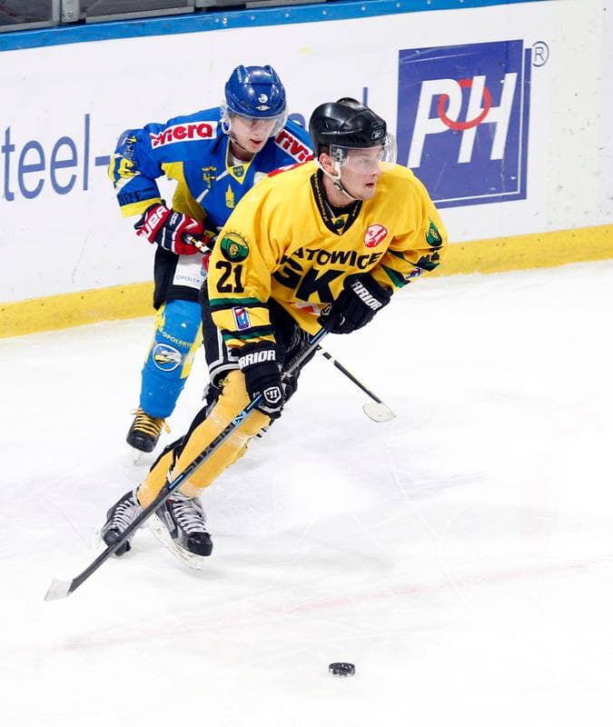Ice Hockey. Polska Hokej Liga. HC GKS Katowice - Orlik Opole. 27.01.2015