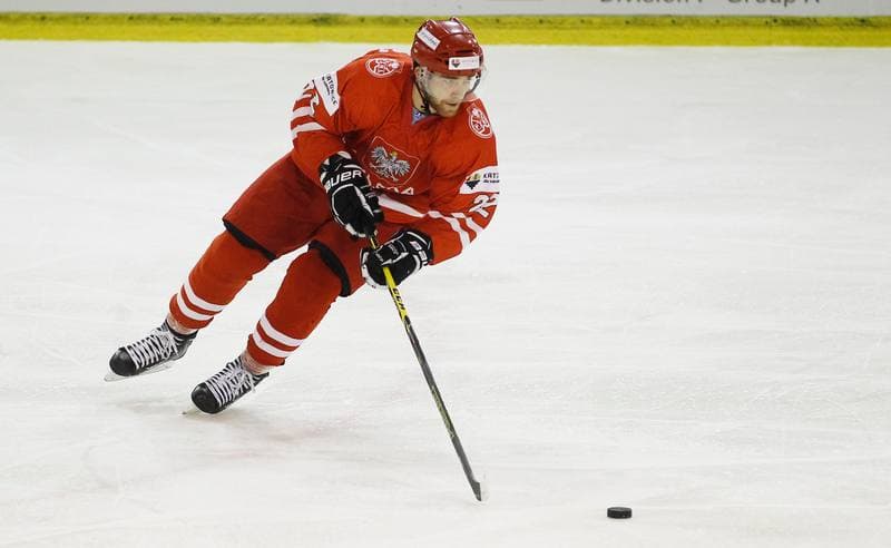 Ice Hockey. Euro Ice Hockey Challenge. Poland - Austria. 07.11.2015