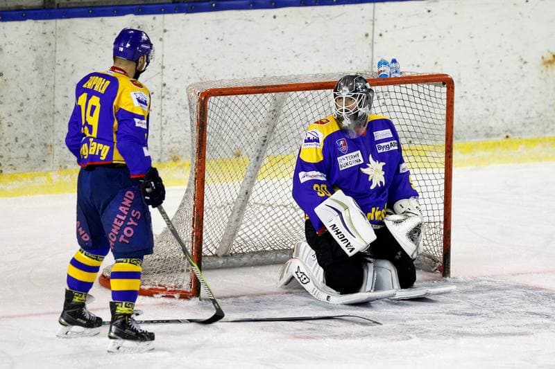 Ice Hockey. Polska Hokej Liga. Zaglebie Sosnowiec - TatrySki Podhale Nowy Targ. 25.11.2018