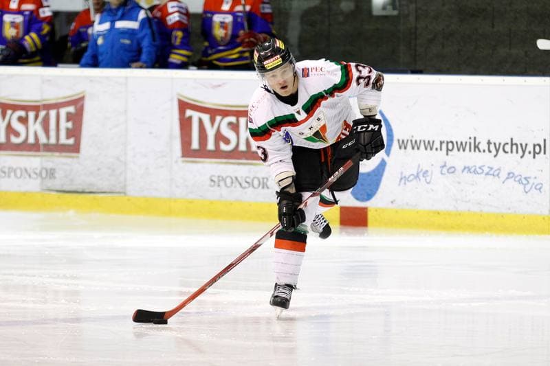 Ice Hockey. Polska Hokej Liga. GKS Tychy - Podhale Nowy Targ. 29.01.2016