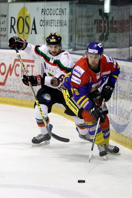 Ice Hockey. Polska Hokej Liga. GKS Tychy - Podhale Nowy Targ. 29.01.2016