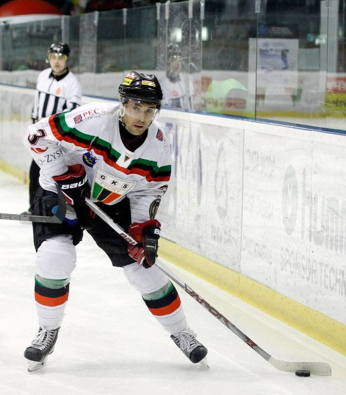 Ice Hockey. Tauron Hokej Liga. GKS Tychy - Polonia Bytom. 19.02.2016