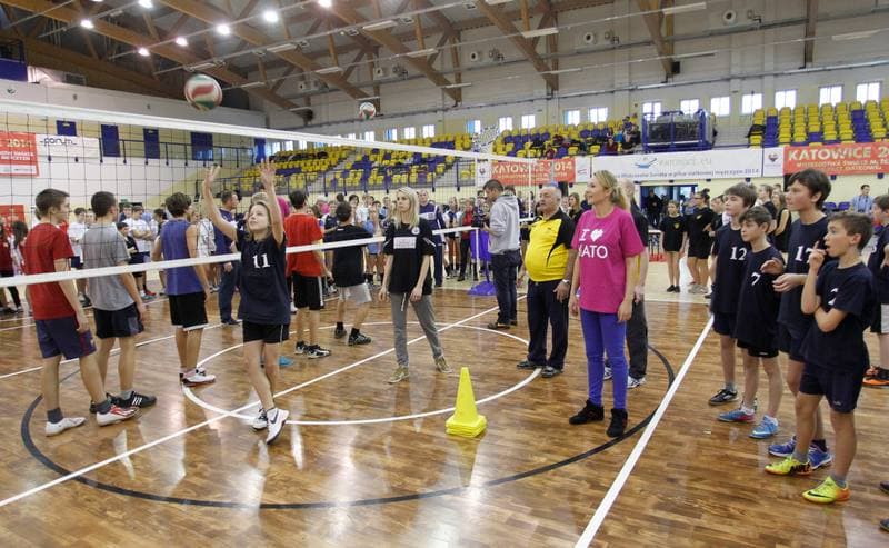Volleyball. Action "I Love Volleyball". Summary. 11.12.2013
