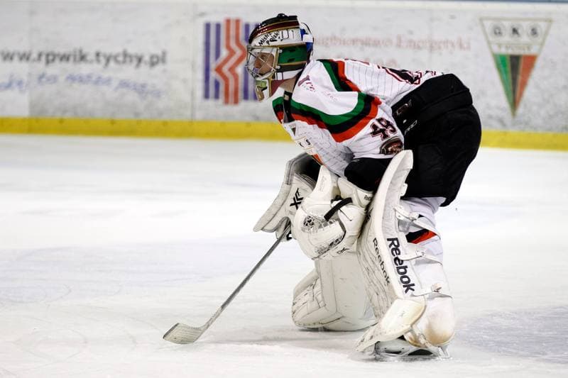 Ice Hockey. Polska Hokej Liga. GKS Tychy - Podhale Nowy Targ. 29.01.2016