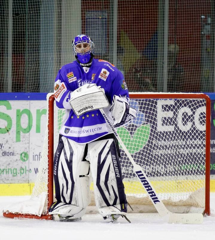 Ice Hockey. Polska Hokej Liga. Naprzod Janow - Unia Oswiecim. 26.10.2014