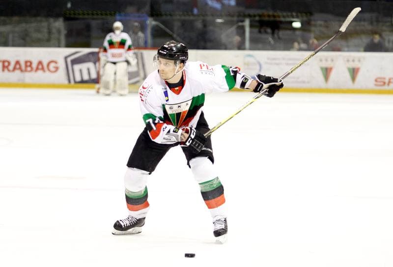 Ice Hockey. Polska Hokej Liga. GKS Tychy - JKH GKS Jastrzebie. 30.11.2014