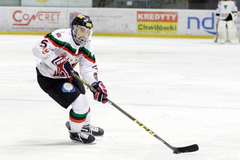 Ice Hockey. Polska Hokej Liga. GKS Tychy - Podhale Nowy Targ. 29.01.2016