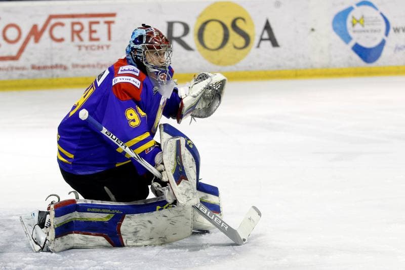 Ice Hockey. Polska Hokej Liga. GKS Tychy - Podhale Nowy Targ. 29.01.2016