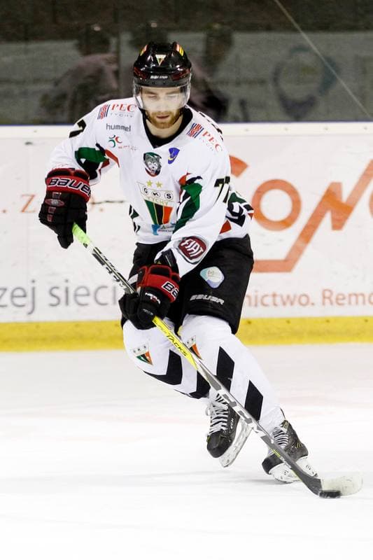 Ice Hockey. Polska Hokej Liga. GKS Tychy - Orlik Opole. 13.01.2017