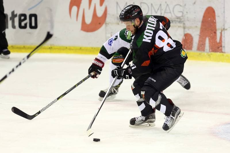 Ice Hockey. Polska Hokej Liga. Naprzod Janow - GKS Tychy. 15.10.2017