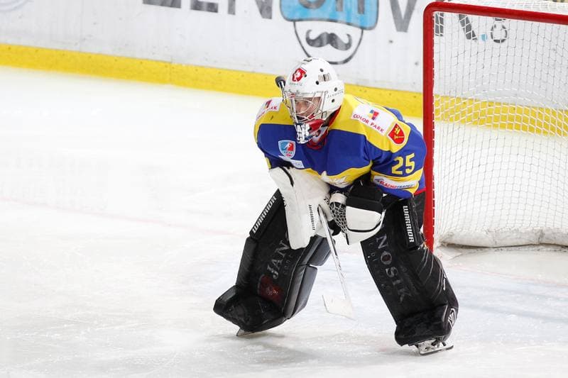 Ice Hockey. Polska Hokej Liga. SMS PZHL Katowice - TatrySKI Podhale Nowy Targ. 26.10.2017