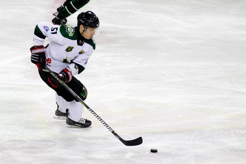 Ice Hockey. Polska Hokej Liga. Anteo Naprzod Janow - JKH GKS Jastrzebie. 03.12.2017