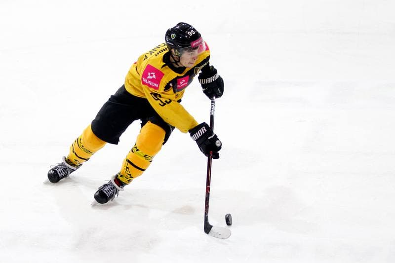 Ice Hockey. Tauron Hokej Liga. Tauron KH GKS Katowice - Anteo Naprzod Janow. 02.02.2018