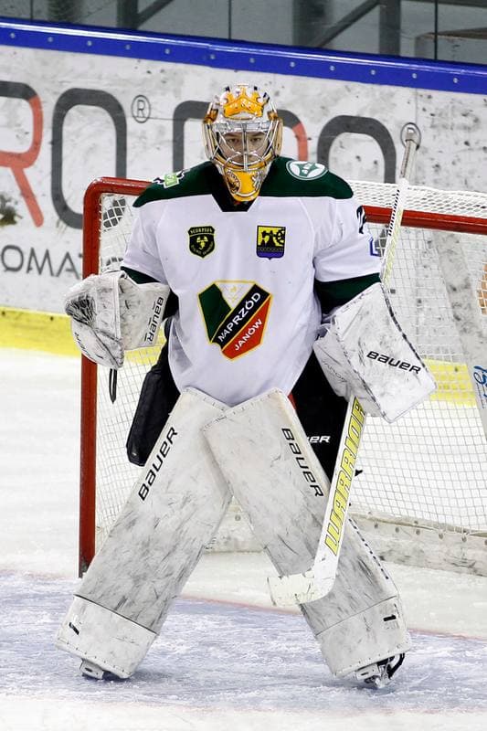 Ice Hockey. PHL. Anteo Naprzod Janow - TatrySki Podhale Nowy Targ. 04.02.2018