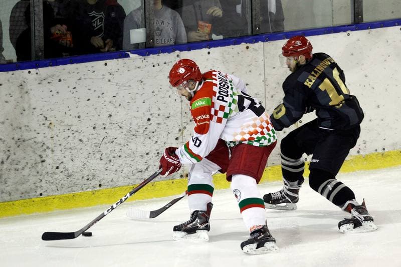 Ice Hockey. Polska Hokej Liga. Zaglebie Sosnowiec - Comarch Cracovia. 22.01.2019