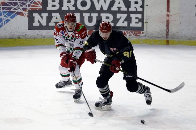 Ice Hockey. Polska Hokej Liga. Zaglebie Sosnowiec - Comarch Cracovia. 22.01.2019