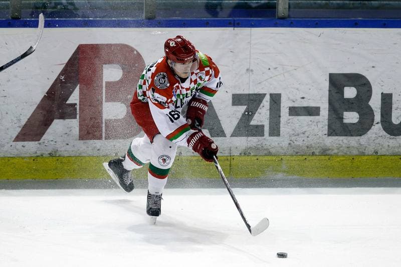 Ice Hockey. Polska Hokej Liga. Zaglebie Sosnowiec - Orlik Opole. 17.02.2019