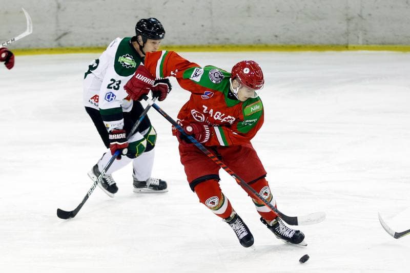 Ice Hockey. Polska Hokej Liga. Naprzod Janow - Zaglebie Sosnowiec. 23.02.2019