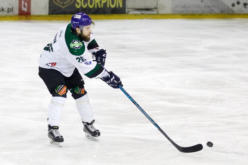 Ice Hockey. Polska Hokej Liga. Naprzod Janow - Zaglebie Sosnowiec. 23.02.2019