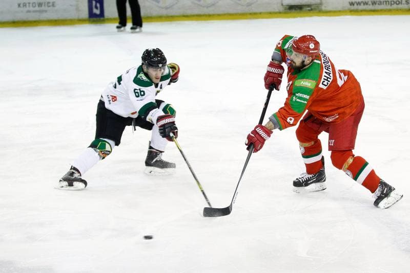 Ice Hockey. Polska Hokej Liga. Naprzod Janow - Zaglebie Sosnowiec. 23.02.2019
