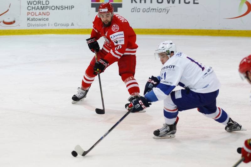 Ice Hockey. EIHC. Poland - France. 19.12.2015