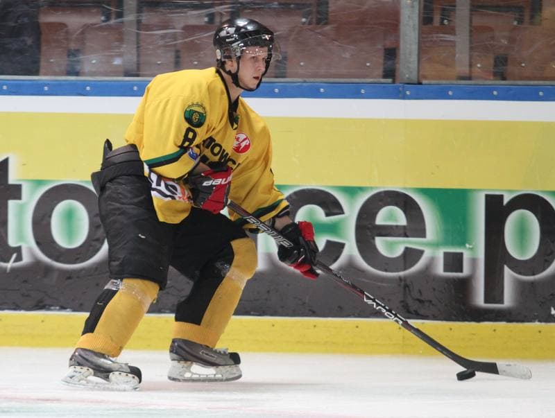 Ice Hockey. Polska Hokej Liga. HC GKS Katowice - Polonia Bytom. 26.01.2014