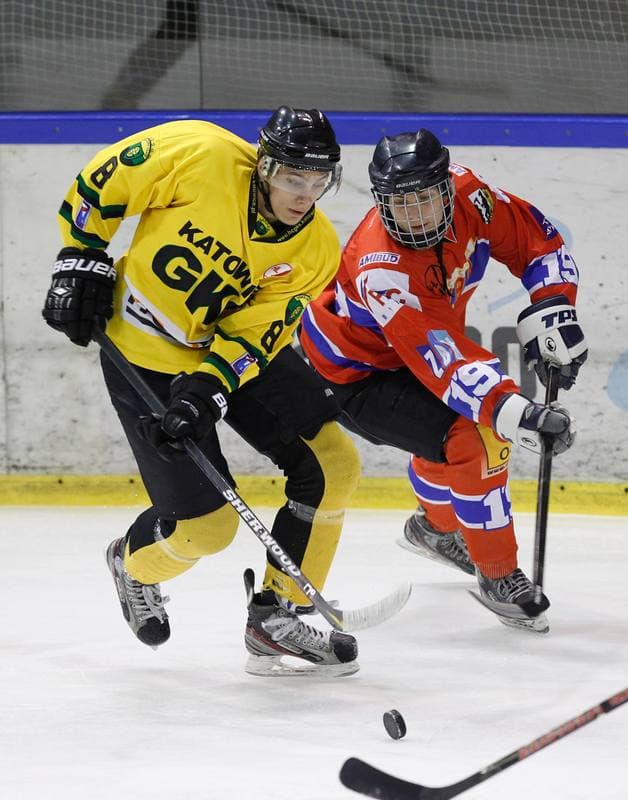 Ice Hockey. Polska Hokej Liga. HC GKS Katowice - Polonia Bytom. 26.01.2014