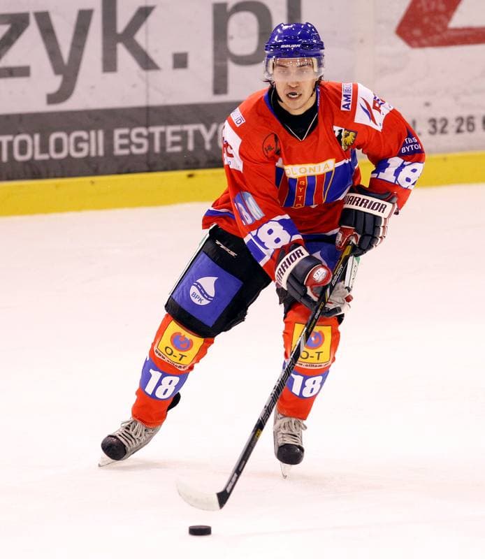 Ice Hockey. Polska Hokej Liga. Naprzod Janow - Polonia Bytom. 09.10.2014