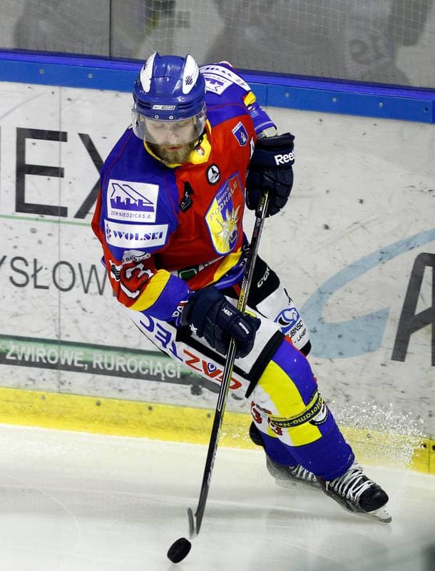 Ice Hockey. Tauron Hokej Liga. Naprzod Janow - Podhale Nowy Targ. 14.11.2014