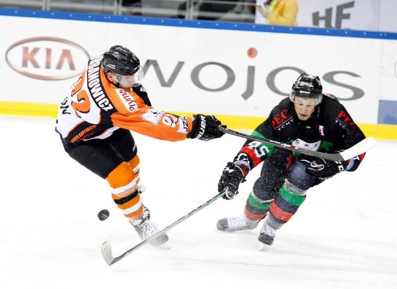 Ice Hockey. Polish Cup. JKH GKS Jastrzebie - GKS Tychy. 27.12.2014